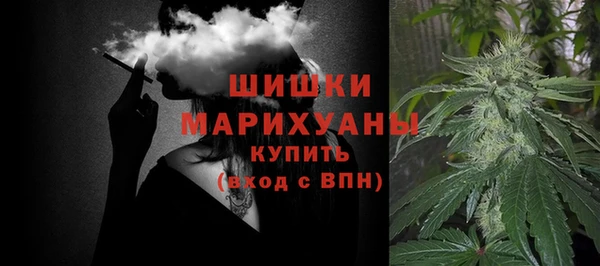 мдпв Верея