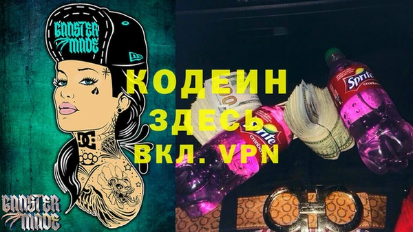 мдпв Верея